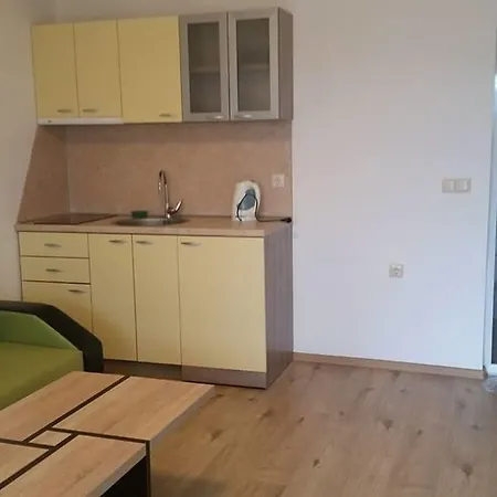 The Sea Lions Pensión Tsarevo