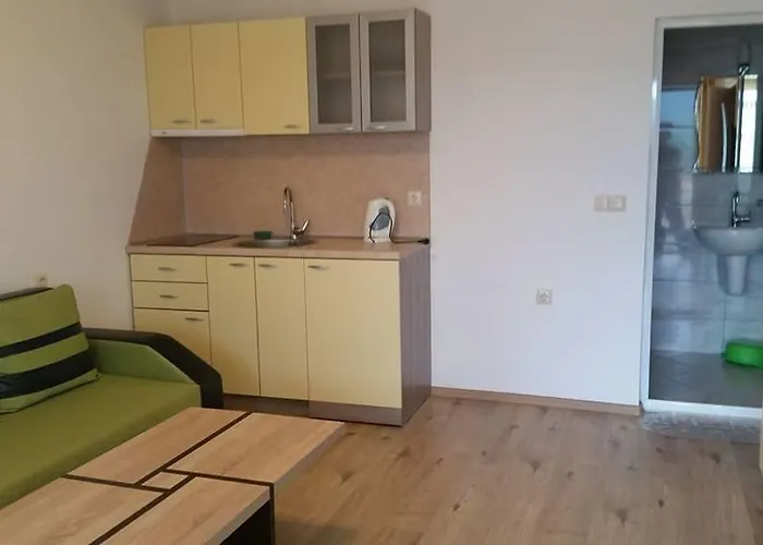 The Sea Lions Pensiune Țarevo